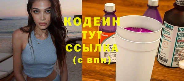 индика Каменск-Шахтинский