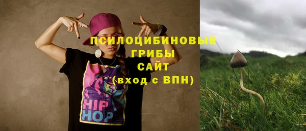 спайс Каменногорск