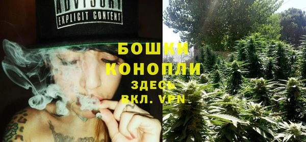 индика Каменск-Шахтинский