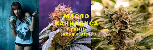 индика Каменск-Шахтинский
