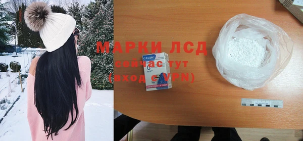 дмт Инсар