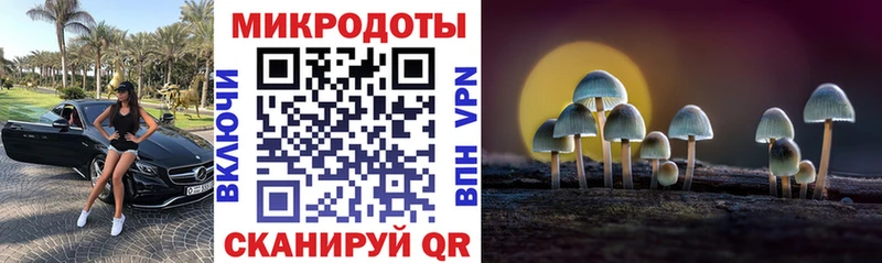 дарнет шоп Кулебаки Галлюциногенные грибы GOLDEN TEACHER